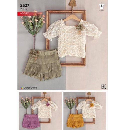 Girls Two Piece Net Top & Crinkle Layered Shorts Set (2-5Y).