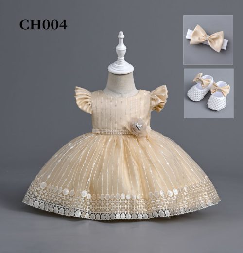 Baby Girls Embroidered Flower Frilly Sleeve Party Dress with Shoes and Headband (6-24M)