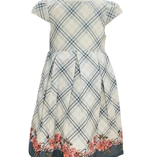 Girls Check Rose Border Print Cotton Summer Dress (2-9Y)