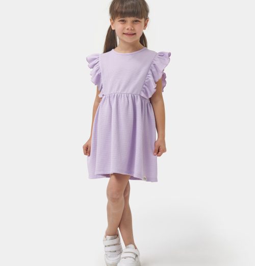 Girls Frilly Sleeve Dress (2-7Y)