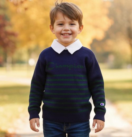 Boys Knitted Stripe Champion Collar Jumper  (3-12Y)