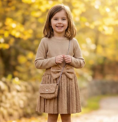 Girls Full Sleeve Bow Embossed Dress with Purse (4-14Y)