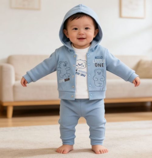 Baby Boys Three Piece Embroidered Teddy Bear Outfit (9-24M)
