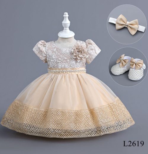 Baby Girls 3pc Jacquard Lace Party Dress with Headband & Shoes (6-24M)