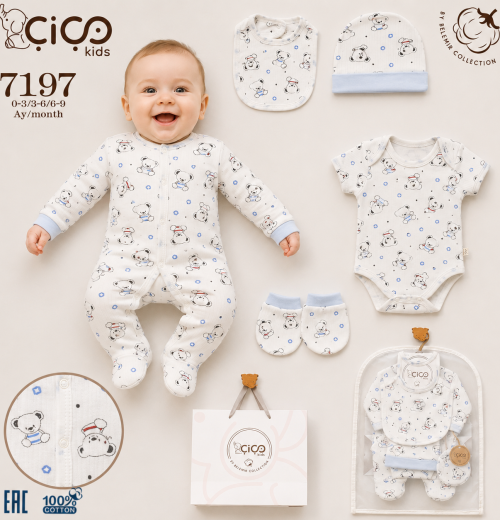Baby Boys Teddy 5pc Gift Set (0-9m)