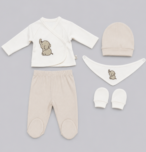 Baby Boys 5pc Elephant Set with Hat & Mittens (0-3m)