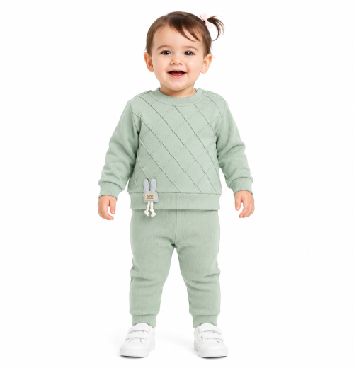Baby Girl 2-Pc Diamond Textured Sweatshirt With Bunny Badge & Jogger Set (9-24 M)