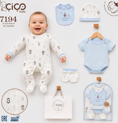 Baby Boys Penguin 5pc Gift Set (0-9m)